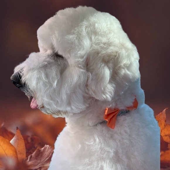 Meet The Vice President π - Picture 15 of 17